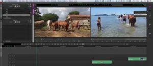 Best free video editor Avid 