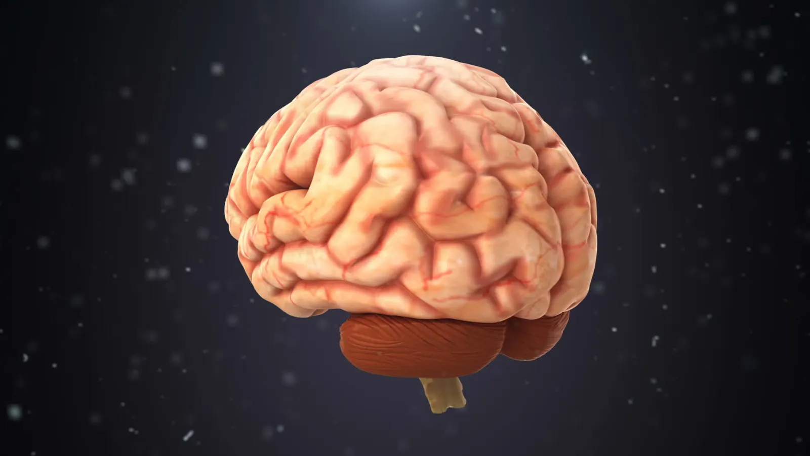 3D medical Animation