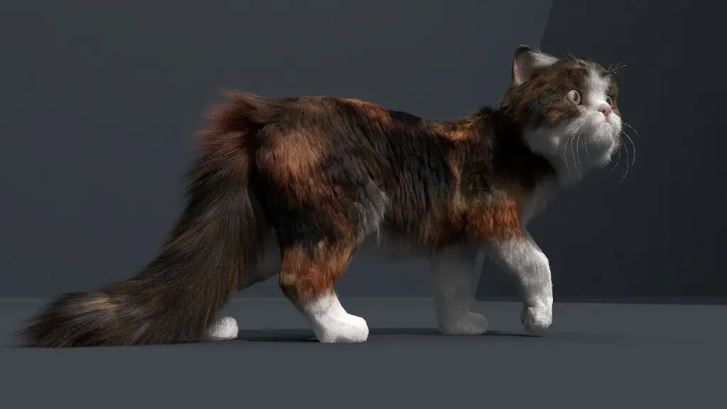 3D Modeling