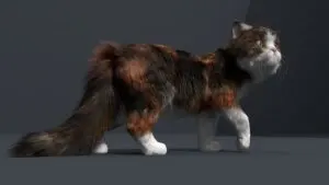 3D Modelling Pipeline